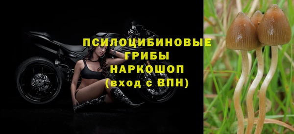 стаф Лагань