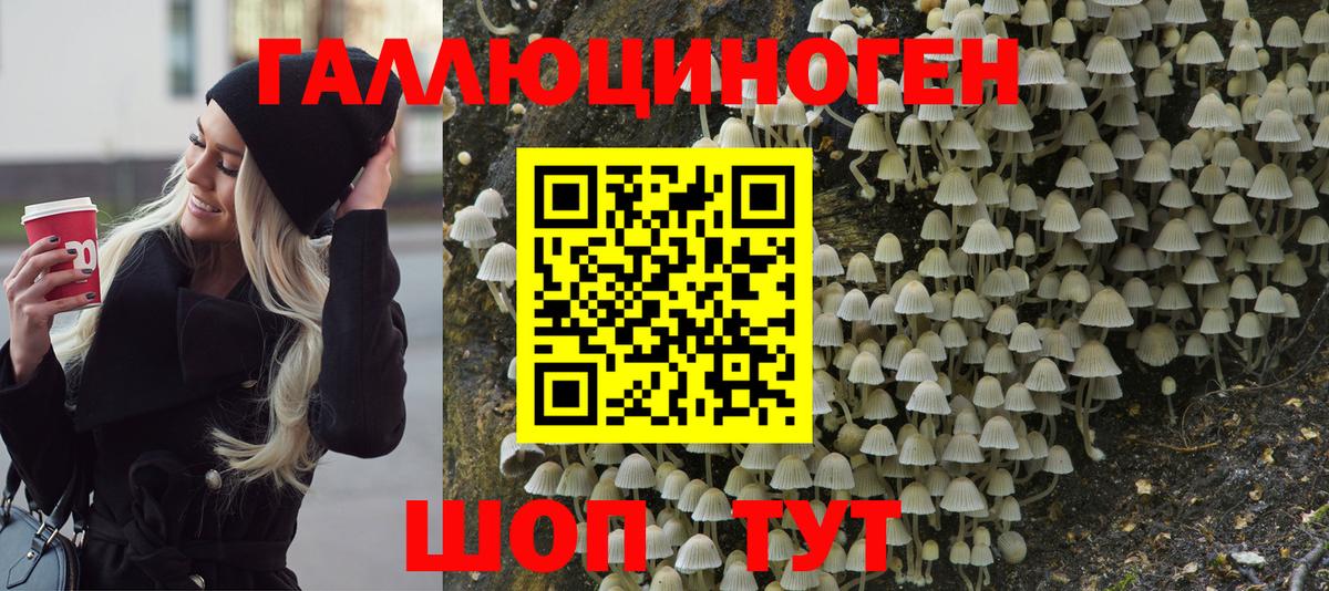 Псилоцибиновые грибы GOLDEN TEACHER  Вход с VPN  Екатеринбург 