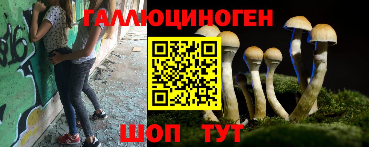 как найти наркотики  Екатеринбург  Псилоцибиновые грибы Psilocybine cubensis 