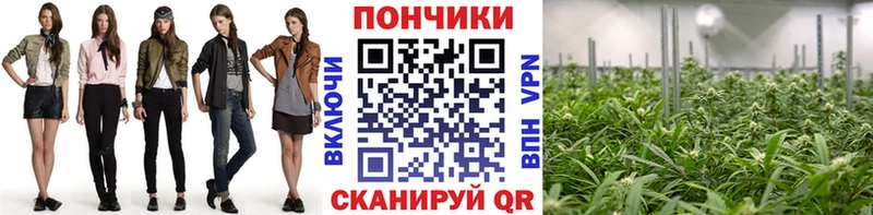 blacksprut ONION  Екатеринбург  Каннабис гибрид 